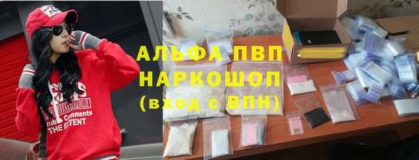 хмурый Аркадак