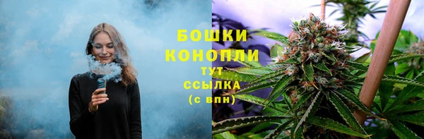 хмурый Аркадак