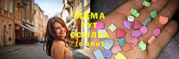 хмурый Аркадак