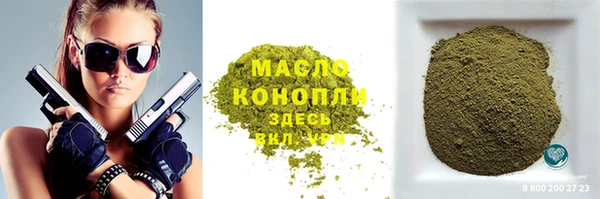 хмурый Аркадак