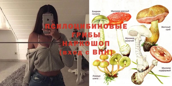 не бодяженный Армянск