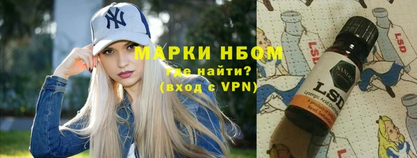 хмурый Аркадак