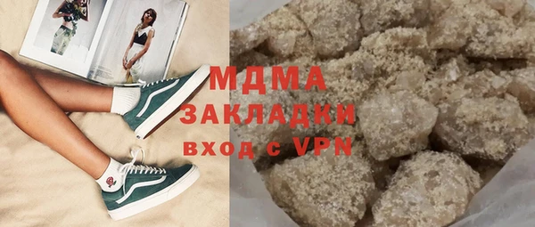 хмурый Аркадак