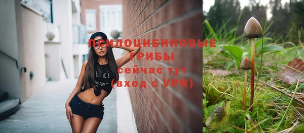 а пвп мука Арсеньев