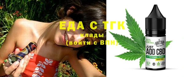 хмурый Аркадак