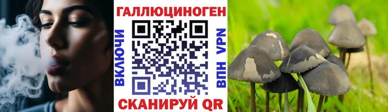 blacksprut ССЫЛКА Грязи Псилоцибиновые грибы Psilocybe